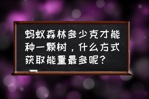 蚂蚁森林樟子松多少能力 蚂蚁森林多少克才能种一颗树，什么方式获取能量最多呢？