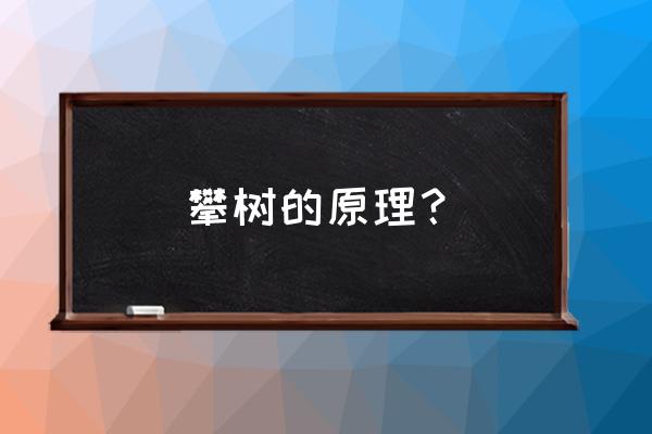 攀岩教练需要考什么证 攀树的原理？