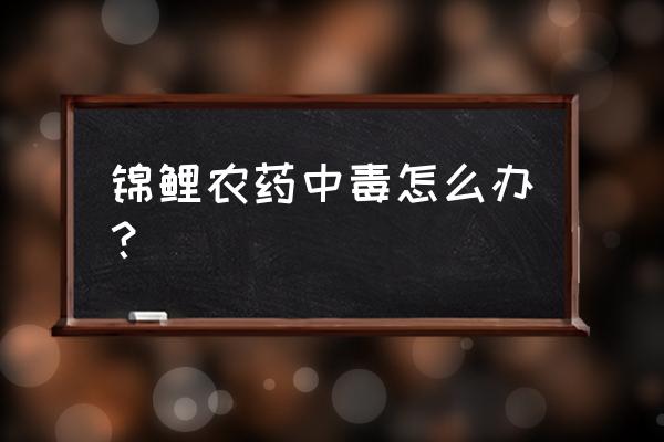 中毒严重怎么解决 锦鲤农药中毒怎么办？