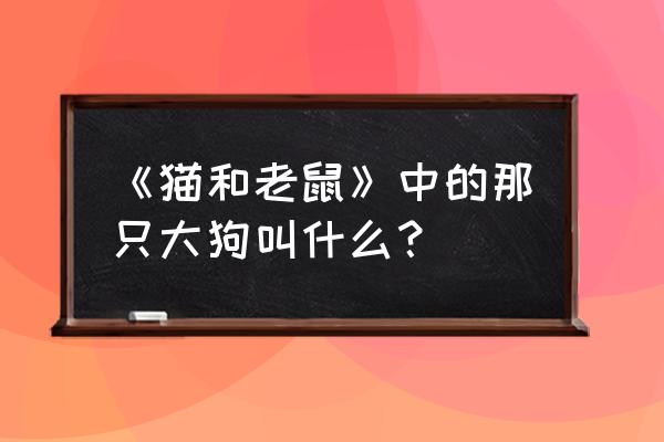 汤姆和杰瑞的那个小老鼠叫什么 《猫和老鼠》中的那只大狗叫什么？