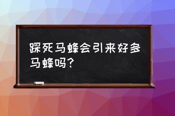 蜂王死了蜂群是不是就解散了 踩死马蜂会引来好多马蜂吗？