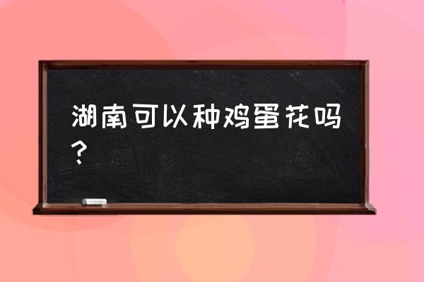 鸡蛋树的养殖方法如下 湖南可以种鸡蛋花吗？