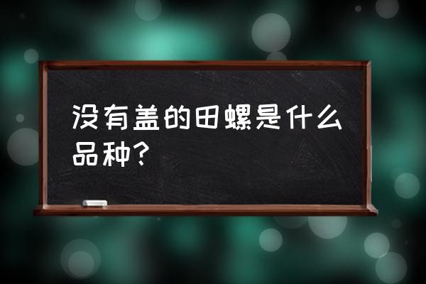 怎么做兔子型手机壳 没有盖的田螺是什么品种？