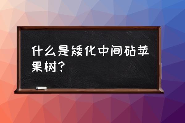 盆栽矮化苹果树 什么是矮化中间砧苹果树？