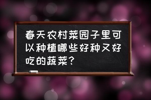 春天适合种植的蔬菜有哪些 春天农村菜园子里可以种植哪些好种又好吃的蔬菜？