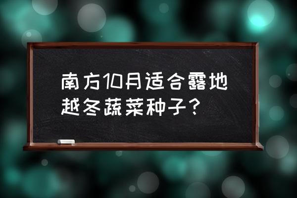 红色潺菜的种植方法和时间 南方10月适合露地越冬蔬菜种子？