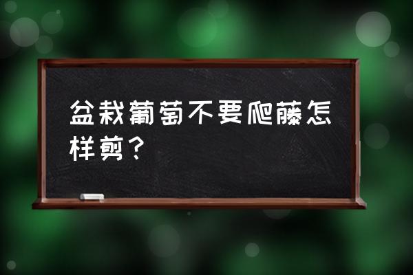 简单剪葡萄手工 盆栽葡萄不要爬藤怎样剪？