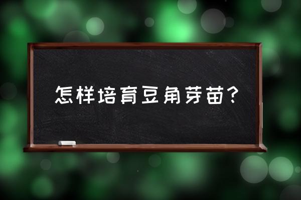 豆角育苗盘育苗方法与时间 怎样培育豆角芽苗？