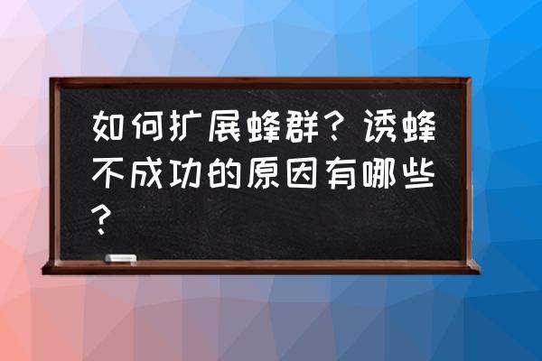 我的世界手机版蜂箱怎么合成 如何扩展蜂群？诱蜂不成功的原因有哪些？