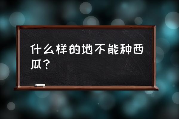 西瓜种植对土壤的要求 什么样的地不能种西瓜？