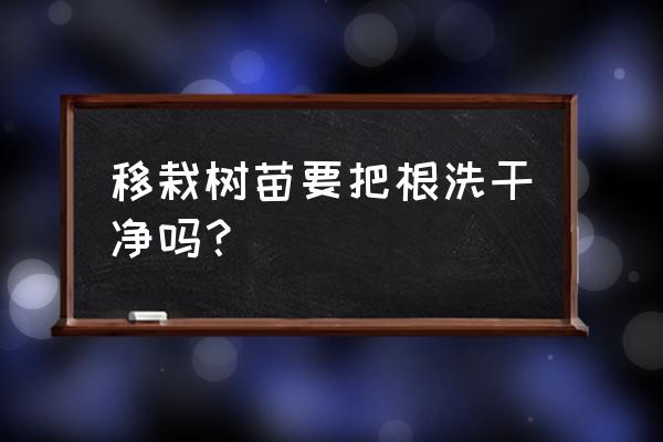 小苗刚刚出土怎样移栽成活 移栽树苗要把根洗干净吗？