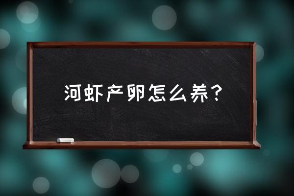 河虾怎么存活20小时 河虾产卵怎么养？