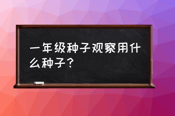 幼儿园让孩子观察蘑菇生长的意义 一年级种子观察用什么种子？