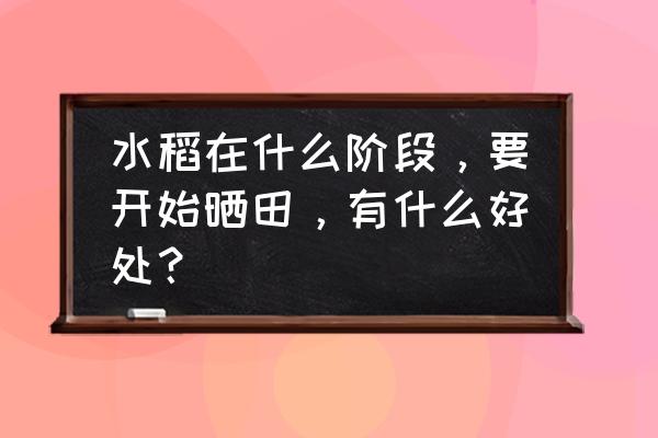 魔兽世界害虫控制成就 水稻在什么阶段，要开始晒田，有什么好处？