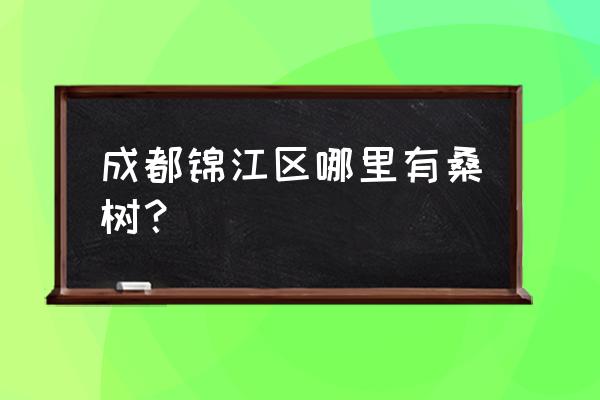 成都哪里有桑叶摘 成都锦江区哪里有桑树？