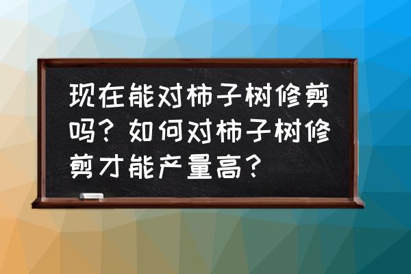 你知道剪纸需要注意什么吗 现在能对柿子树修剪吗？如何对柿子树修剪才能产量高？