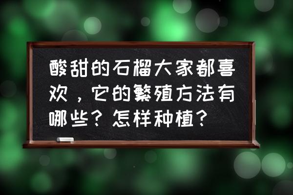 石榴种植的方法 酸甜的石榴大家都喜欢，它的繁殖方法有哪些？怎样种植？