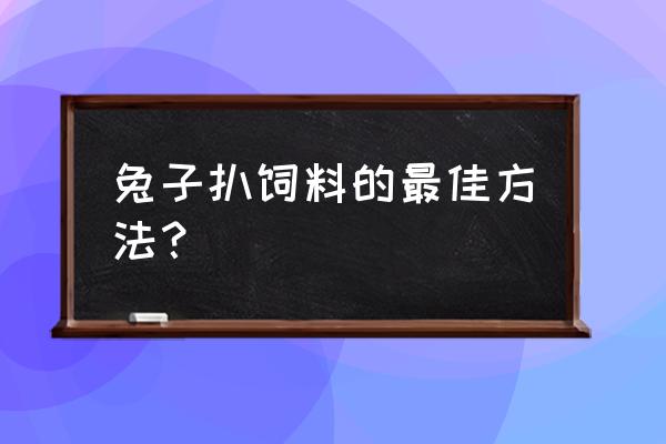 自制兔饲料盒最简单的方法 兔子扒饲料的最佳方法？