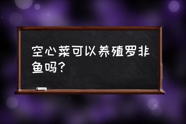 豆豉鲮鱼炒空心菜 空心菜可以养殖罗非鱼吗？