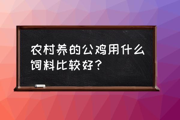 给鸡吃什么长得最快 农村养的公鸡用什么饲料比较好？