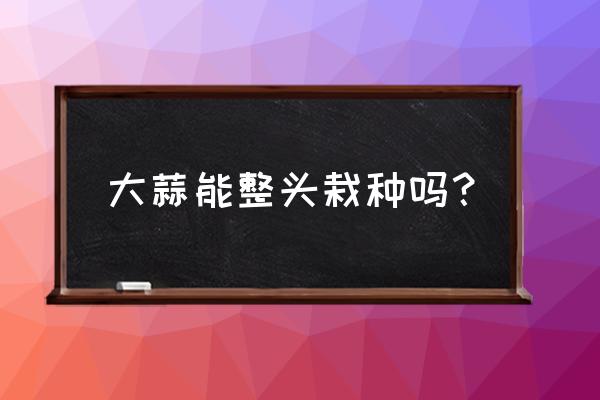 青蒜是用种子种的吗 大蒜能整头栽种吗？