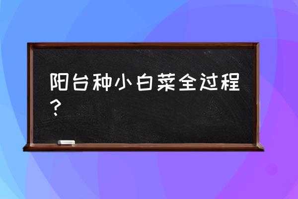 鸡毛菜如何在阳台种 阳台种小白菜全过程？