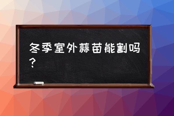 蒜苗移栽时为什么要剪根 冬季室外蒜苗能割吗？