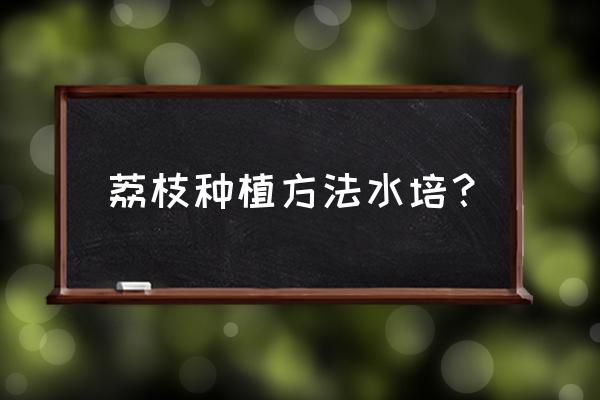 荔枝苗专用盆栽有哪些 荔枝种植方法水培？