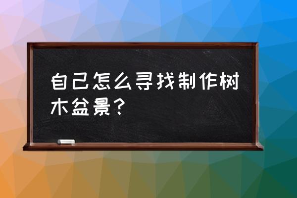 山楂树是怎样长出来的用什么育苗 自己怎么寻找制作树木盆景？