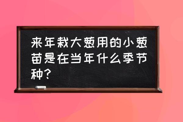 蔬菜种苗的栽种时间 来年栽大葱用的小葱苗是在当年什么季节种？