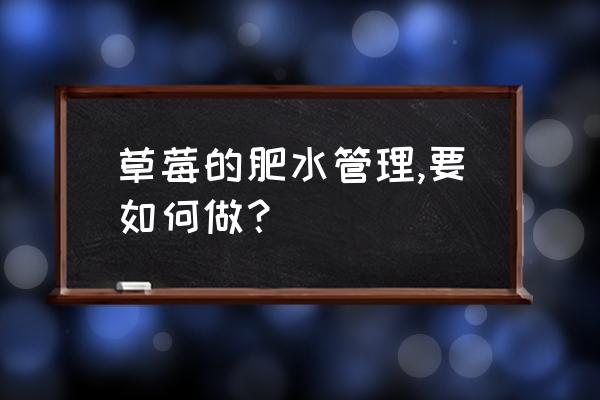 草莓如何种植才结果更多 草莓的肥水管理,要如何做？