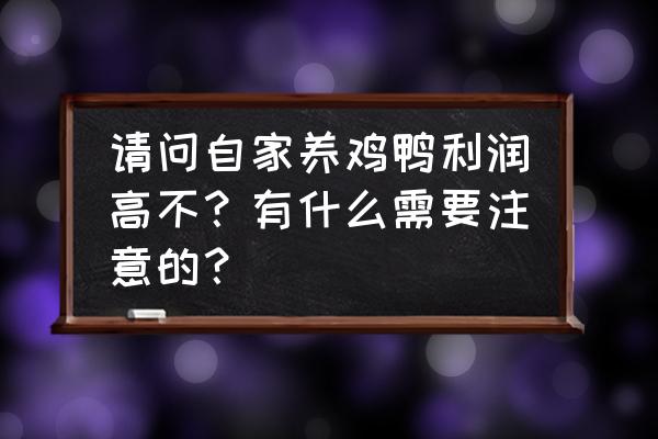 普通人在家怎么养鸡 请问自家养鸡鸭利润高不？有什么需要注意的？