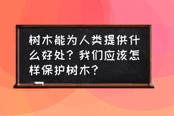 根在植物生长过程中的作用有哪些 树木能为人类提供什么好处？我们应该怎样保护树木？