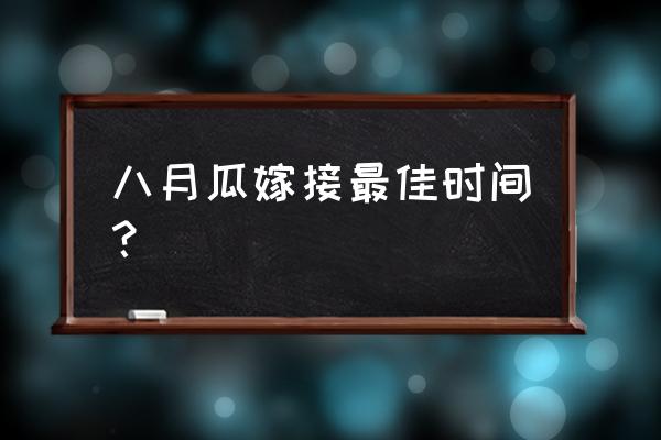 八月瓜的扦插技术 八月瓜嫁接最佳时间？