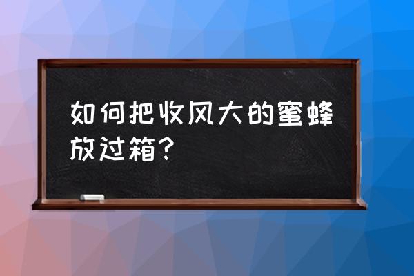 收蜜蜂有什么小妙招 如何把收风大的蜜蜂放过箱？