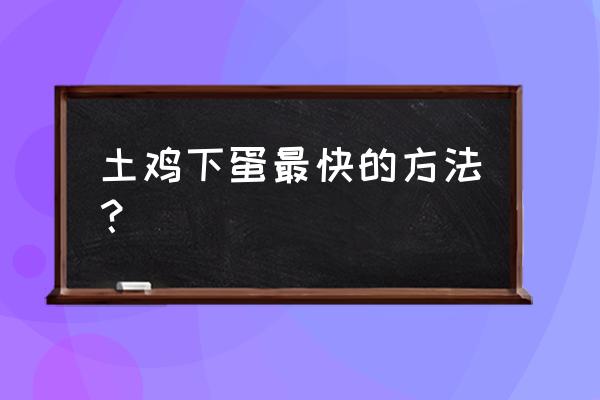 蛋鸡恢复产蛋的方法 土鸡下蛋最快的方法？