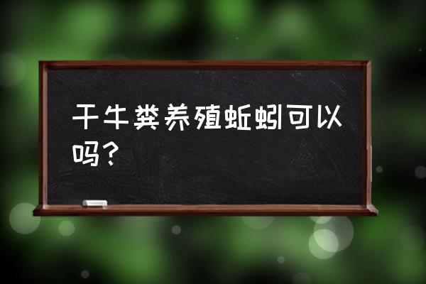 自己怎么用牛粪养蚯蚓 干牛粪养殖蚯蚓可以吗？