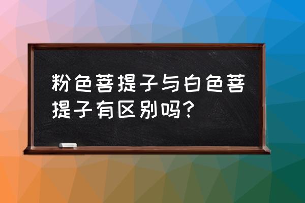 白玉菩提30元的与100的区别在哪 粉色菩提子与白色菩提子有区别吗？