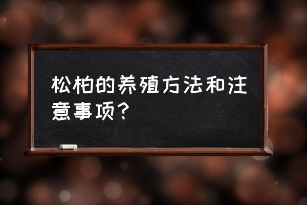 雪松的栽培技术与管理 松柏的养殖方法和注意事项？