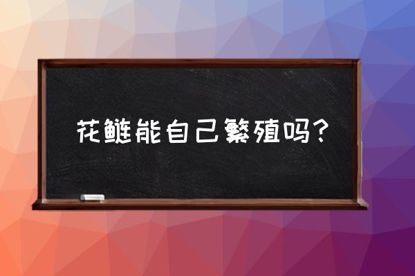 花鲢鱼是自然繁殖还是人工繁殖 花鲢能自己繁殖吗？