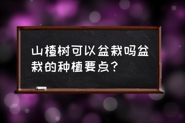 盆栽山楂树的栽培与管理技术 山楂树可以盆栽吗盆栽的种植要点？