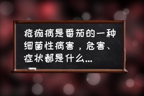 西红柿副作用 疮痂病是番茄的一种细菌性病害，危害、症状都是什么？如何防治？