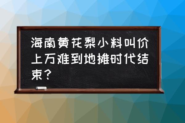 黄花梨拍卖价格表 海南黄花梨小料叫价上万难到地摊时代结束？