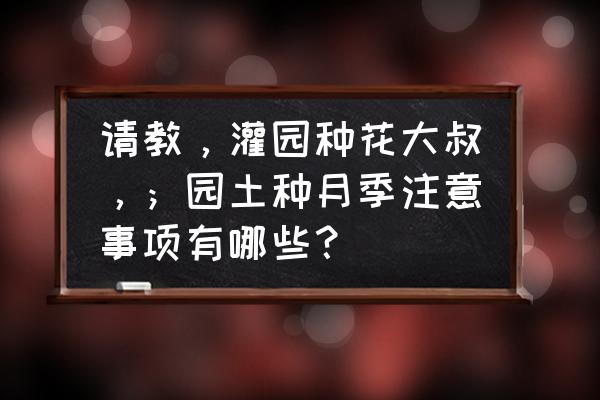 园土种盆栽草莓 请教，灌园种花大叔，；园土种月季注意事项有哪些？