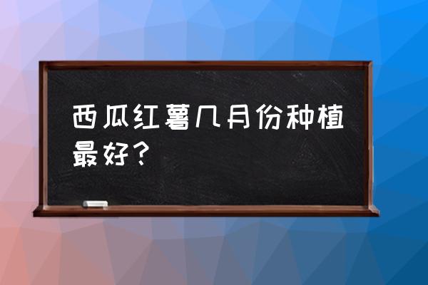 目前西瓜种植最佳时间 西瓜红薯几月份种植最好？