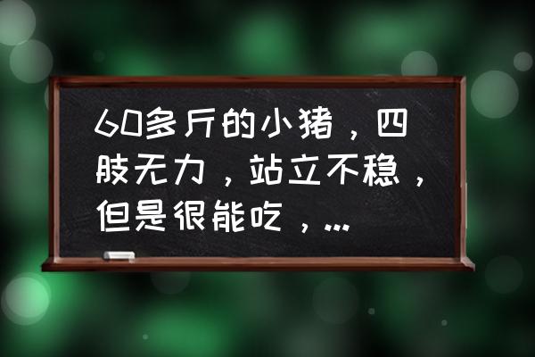 猪水肿病怎么医 60多斤的小猪，四肢无力，站立不稳，但是很能吃，这是什么原因？