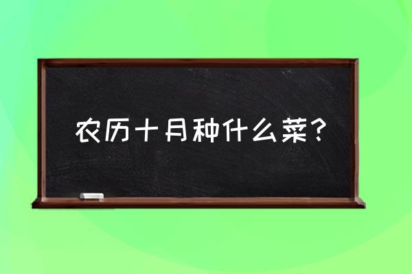 10月份盛产什么蔬菜 农历十月种什么菜？