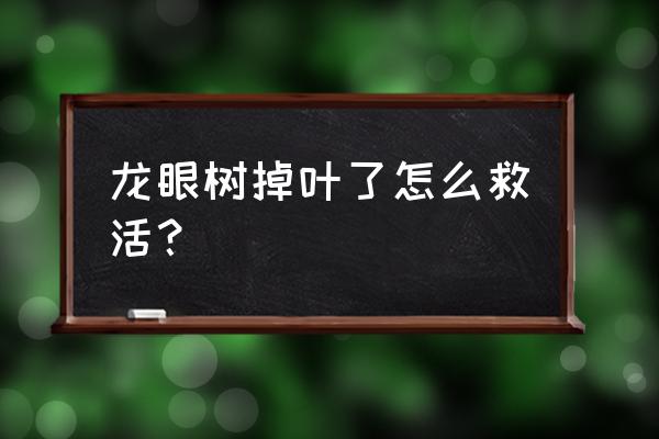 element修改为树形菜单 龙眼树掉叶了怎么救活？