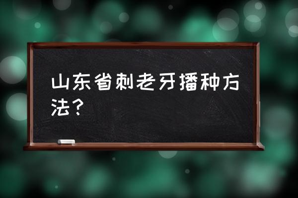 刺老芽籽的图片和功效 山东省刺老牙播种方法？