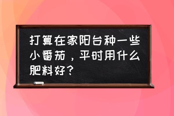 阳台种什么小番茄品种最合适 打算在家阳台种一些小番茄，平时用什么肥料好？